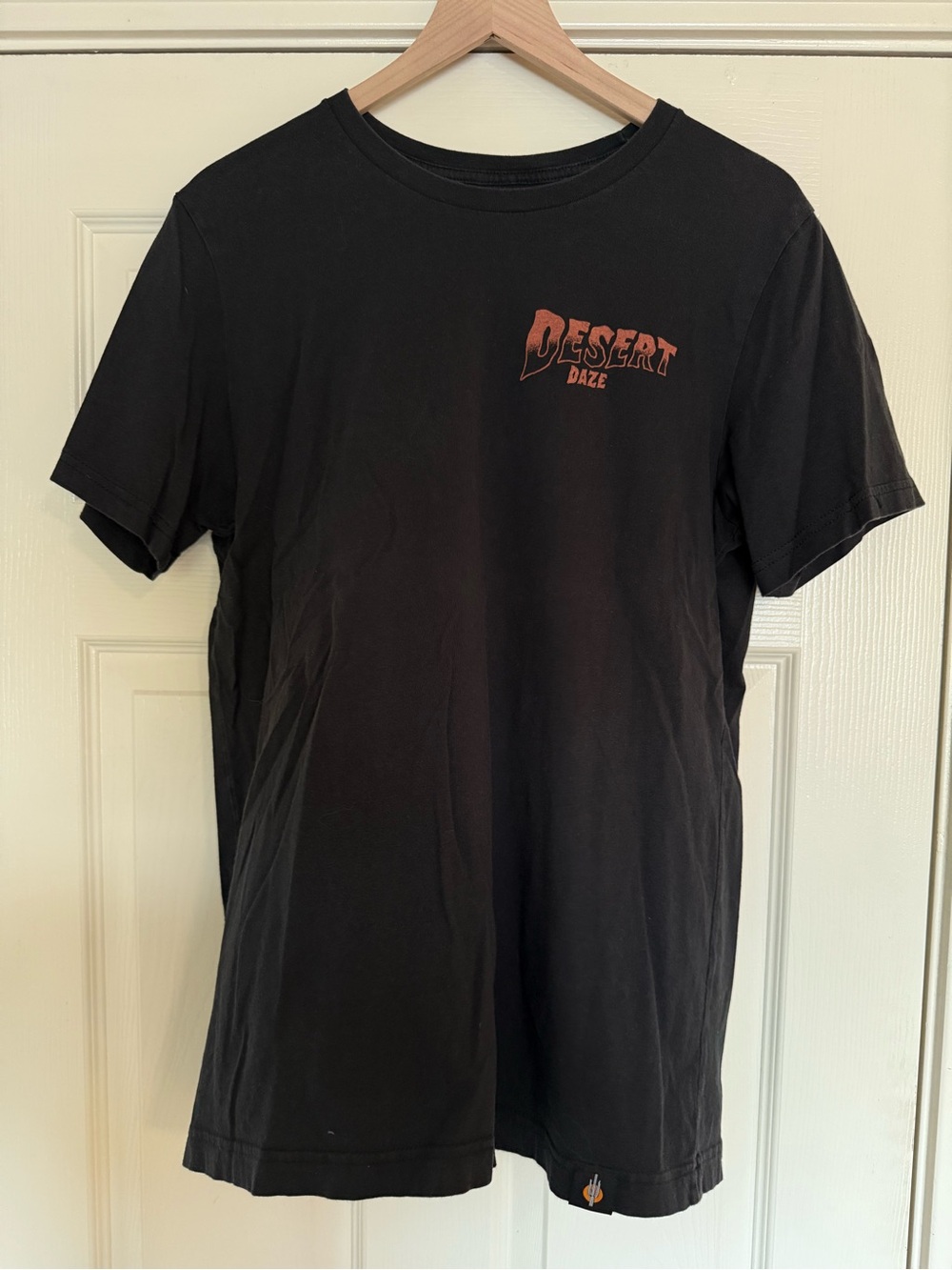 Iconic Arizona Desert Daze Black Graphic T-Shirt